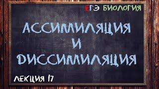 Л.17 | АССИМИЛЯЦИЯ И ДИССИМИЛЯЦИЯ | ОБЩАЯ БИОЛОГИЯ ЕГЭ