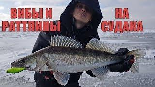 Лучшие ВИБЫ и РАТТЛИНЫ на СУДАКА. Полный ОБЗОР моей КОРОБКИ на хищника