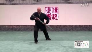 国际友人 亨利来沧州 - Cangzhou wushu - sifu eleonora