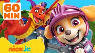 PAW Patrol: Przygody z smokami i akcje ratunkowe!  1 godzina | Nick Jr. Polska