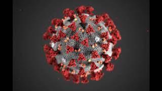 Couchpotatox - Coronavirus