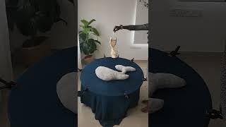 Madras Prop Store Shorts | Baby Photography Styling Tutorial 188 #newbornphotography #beanbagsetup