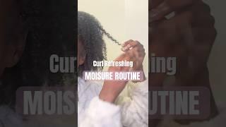 Moisture Routine for Natural Hair | How to Refresh & Define Curls  #shorts