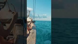 Relaxing Stress Relief Music, Work Music, Background Music for Concentration, Study Music, #Shorts