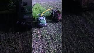 Perfect silage cut from fresh corn fields #jdsilage