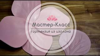 Бесплатный Мастер-Класс гортензия из изолона