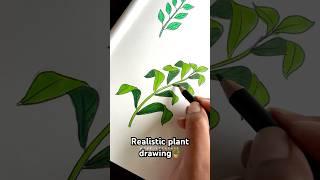 Tutorial: How to draw realistic plant🪴#Shorts #Trending