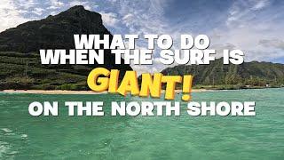 What to do When the Surf is Giant on the North Shore