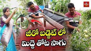 Terrace Garden : జీరో బడ్జెట్ లో మిద్దె తోట సాగు | Nelathalli | hmtv Agri