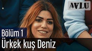 Avlu 1. Bölüm - Ürkek Kuş Deniz