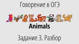 Говорение в ОГЭ. Задание 3 (Animals). Разбор