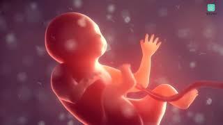 Talk to your baby in the womb with this Pregnancy App