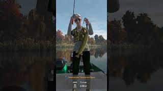 #игра Fishing Planet. Уникальная Полосатая Щука