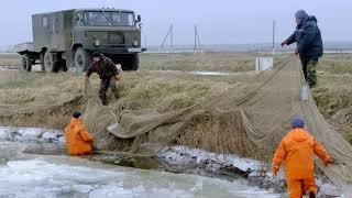 Отлов рыбы в ОАО «Опытный рыбхоз «Селец»