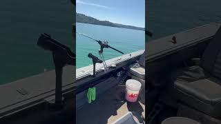 #kokanee #fishing #kokaneefishing