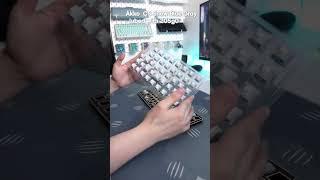 Building Akko SPR67  Gifted by  akkogear    mechkeyboard  keyboard  keeb  customkeyboardMP4