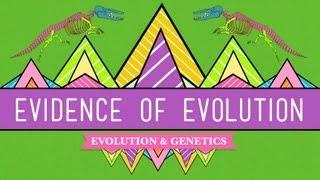 Evolution: It's a Thing - Crash Course Biology #20