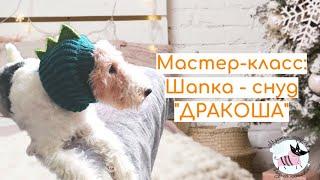 Шапка -Снуд  "ДРАКОША" для питомца спицами. Мастер-класс на любую породу.