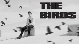 Connor Price - The Birds (Official Music Video)