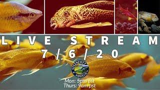 Website, Less Fish, Schedule Change - Steenfott Aquatics Livestream