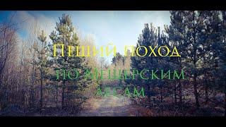 ПЕШИЙ поход по Мещерским лесам  Беливо - Степановка  - Мальково - Рудне Никитское - Авсюнино