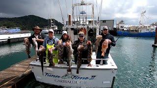 Oregon Coast Deep Water Lingcod