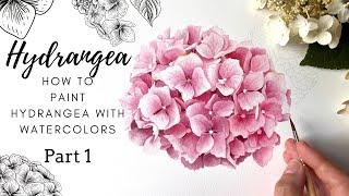 How To Paint Hydrangea with Watercolors  Part 1  Realistic Hydrangea  Pink Flower Art