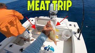 We put the Meat in the box*** Atlantic ocean fishing with light tackle