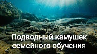 Подводный камушек семейного обучения.