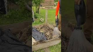 Wormery on the ground, for amazing compost