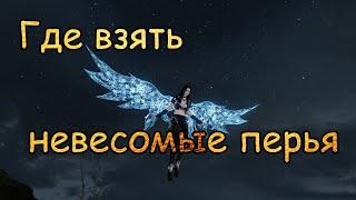 #129 ArcheAge. Где взять невесомые перья для ускорения глайдера