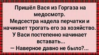 Как Вася из Горгаза Медсестру Напугал! Сборник Свежих Анекдотов! Юмор!