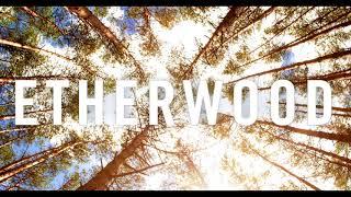 Etherwood - Etherwood (Album Mix)