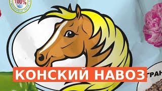 КОНСКИЙ НАВОЗ