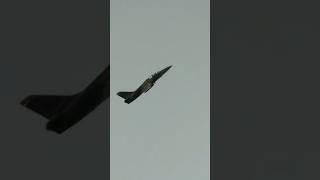 Real Deal or RC Albatros ???