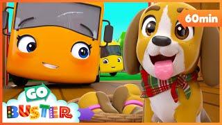 Buster Saves the Puppy | Go Buster - Bus Cartoons & Kids Stories