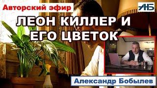 КАК  ВЫЖИТЬ В ЭТОМ БАРДАКЕ? Опыт Леона-киллера. Александр Бобылев.