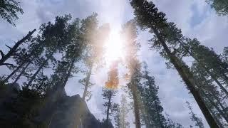 Skyrim SE 2021 Modding - Test self created pine trees