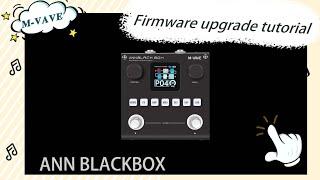 【M-VAVE】ANN BLACKBOX Firmware Update Operation Demonstration Tutorial