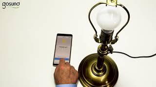 Smart Bulb