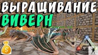 ARK SURVIVAL EVOLVED | ВЫРАЩИВАНИЕ ВИВЕРН | 1 ЧАСТЬ | АРК СУРВАЙВЛ ЭВОЛВ 2 СЕЗОН | ARK FEODAL S02E23