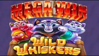 Wild Whiskers| Chumba Casino