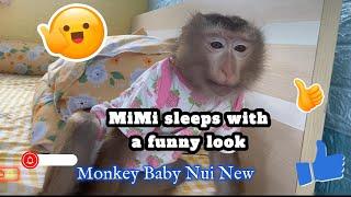 Monkey Baby Nui   MiMi sleeps with a funny look