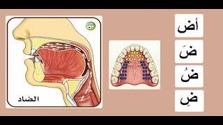 Practicing The Arabic Letters |ض| Sheikh Ayman Suwaid