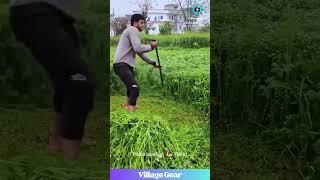 This Grass Cutting ASMR is My New Zen!  So Satisfying! #oddlysatisfying #asmr #farming #chill