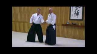 Aikido Instruction - William Gleason Sensei Aikido Seminar - sample clip