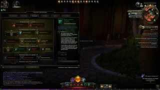 Neverwinter Online, Чернокнижник-мучитель "Рука порчи" №17