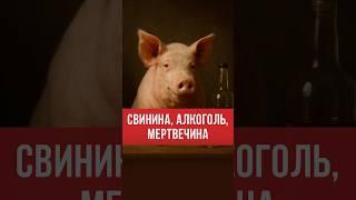 Какие продукты однозначно запрещены в Исламе. #ислам #думу