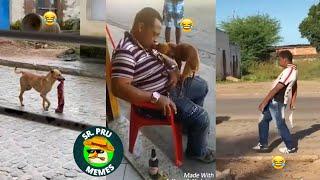 Os Vídeos + Engraçados do Whatsapp 2023! Tente Não Rir #10 - Whatsapp Memes Br