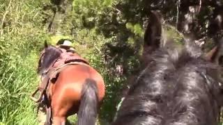 Riding a Stubborn horse part 1